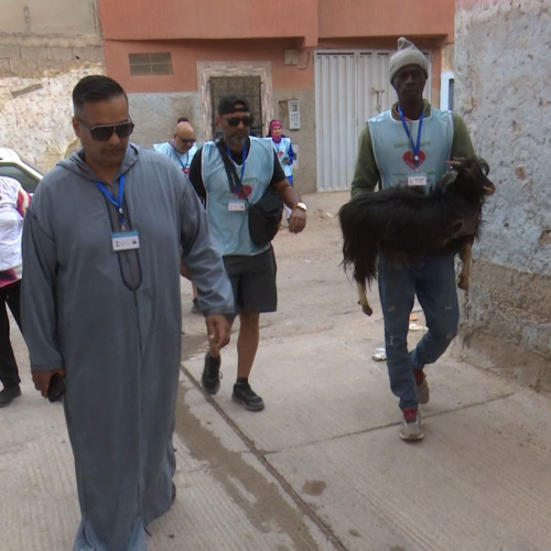 Qurbani/Udiyah